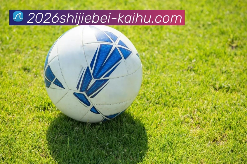 2026世界杯开户平台生态图